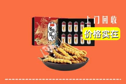克拉玛依乌尔禾回收冬虫夏草
